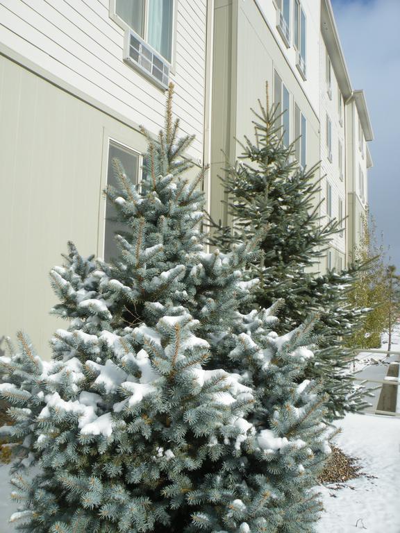 Bakken Airport Xwa Hotel & Studios Williston Zewnętrze zdjęcie